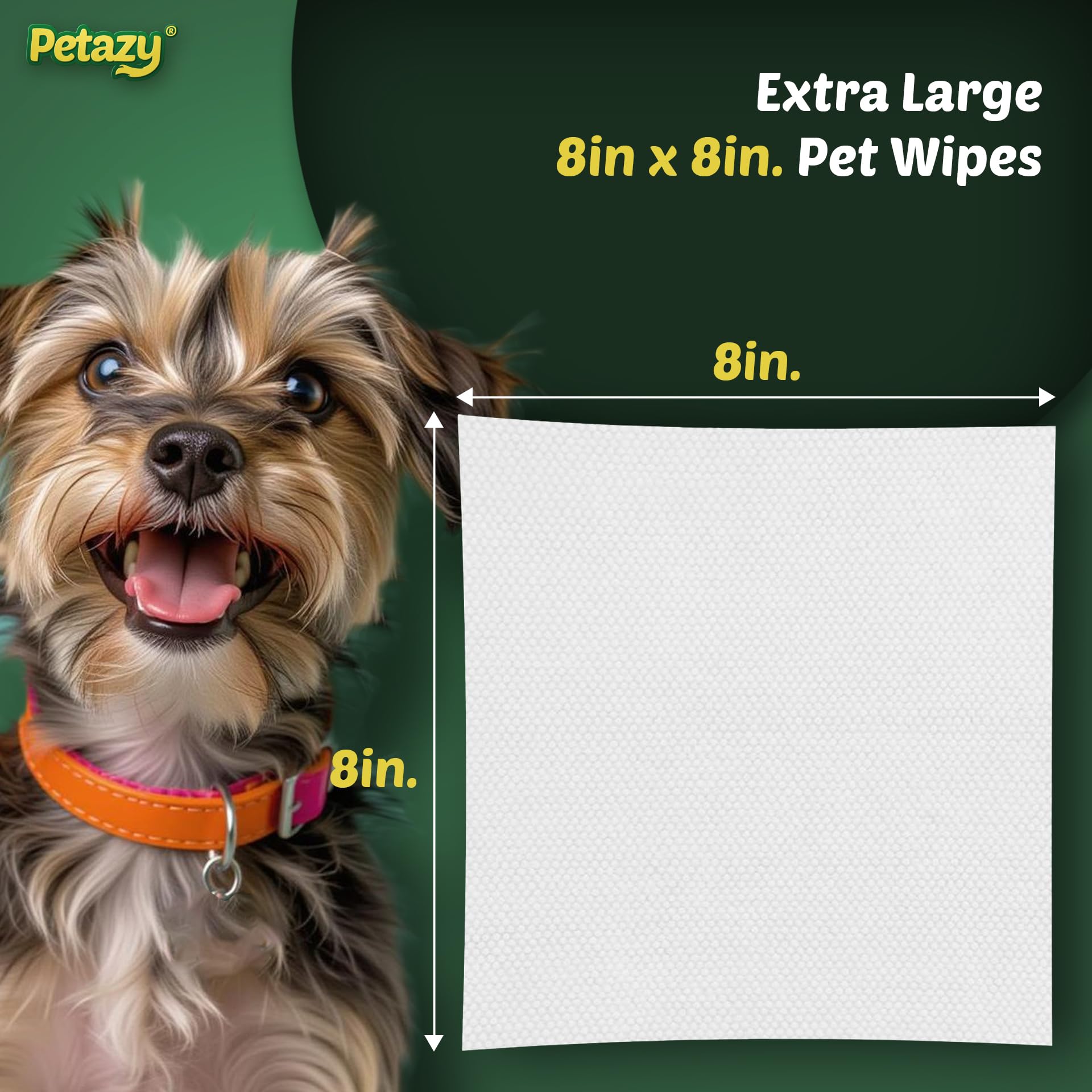 Petazy comparaison de taille avec une main montrant format 8×8 pouces, couverture complète