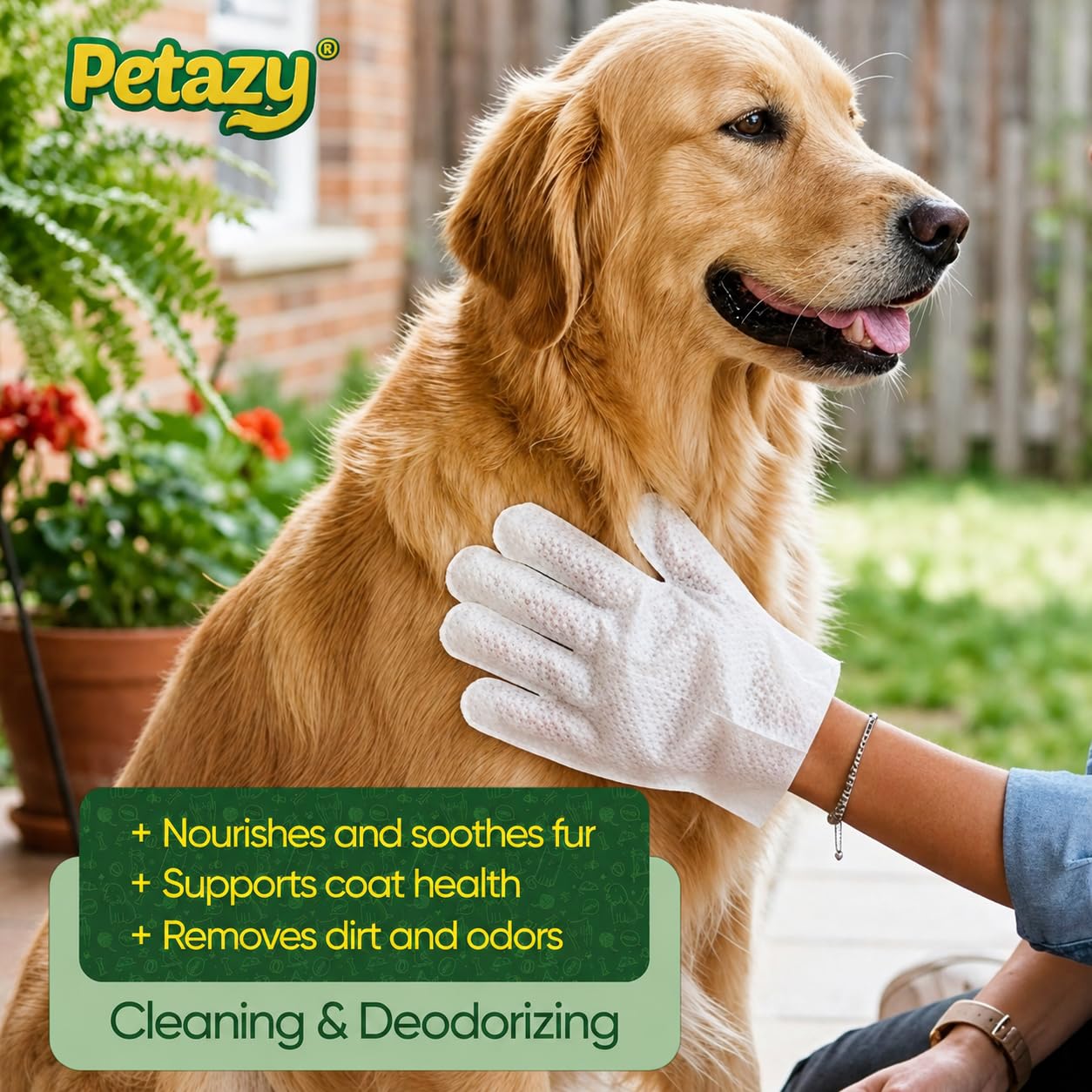 Petazy gant-lingette en action nettoyant une patte proprement