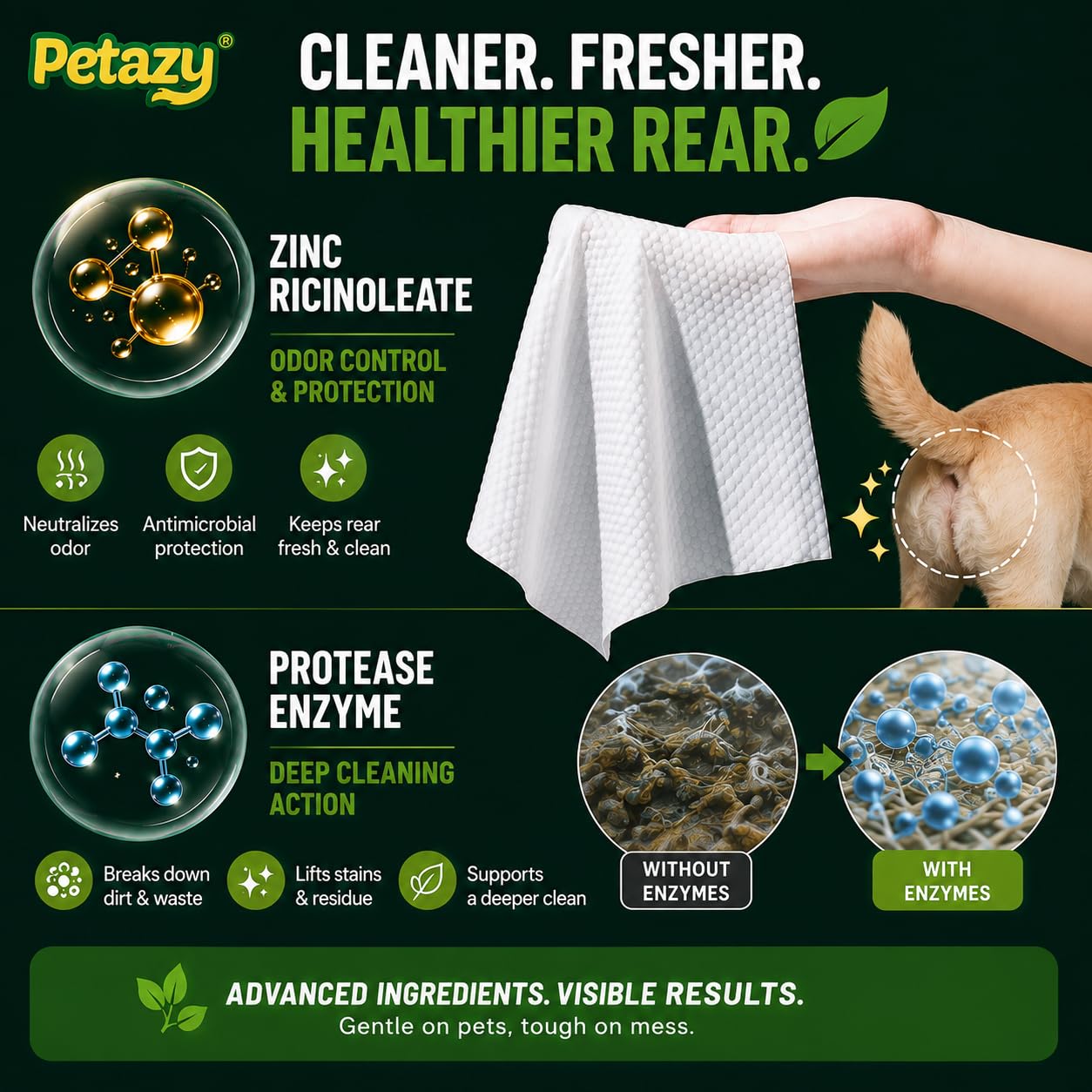 Petazy lingette utilisée sur un chat, soin doux pour peau sensible