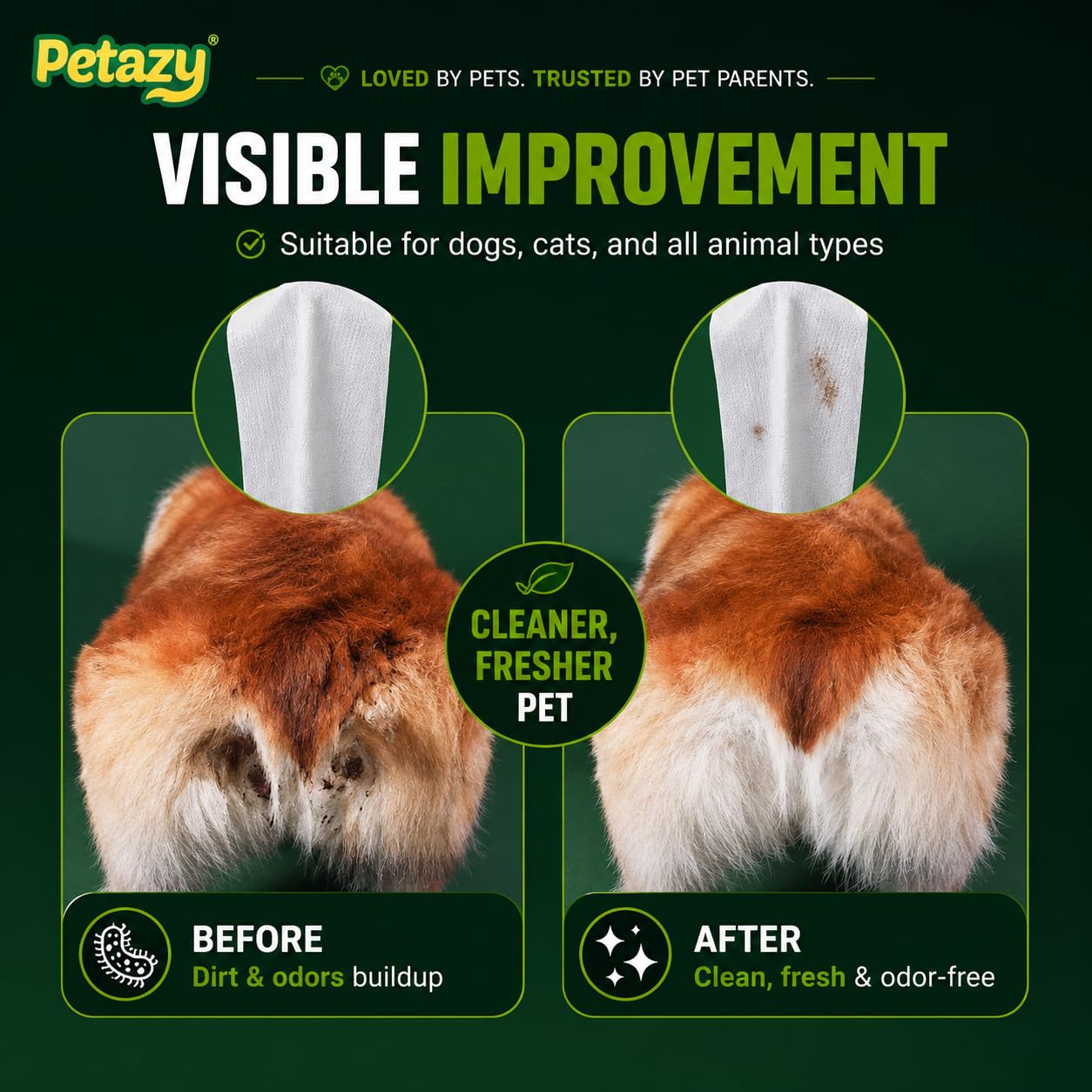 Petazy lingette utilisée sur un chien, nettoyage doux du pourtour anal