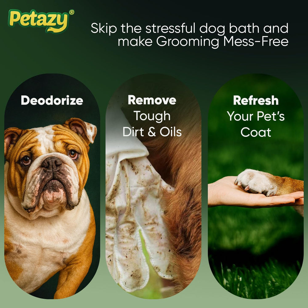 Petazy nettoyage de patte de chien, élimine saleté sans bain ni eau
