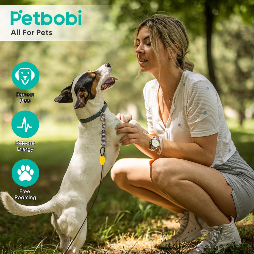 Petbobi chien jardin mise en situation liberté contrôlée et sécurité