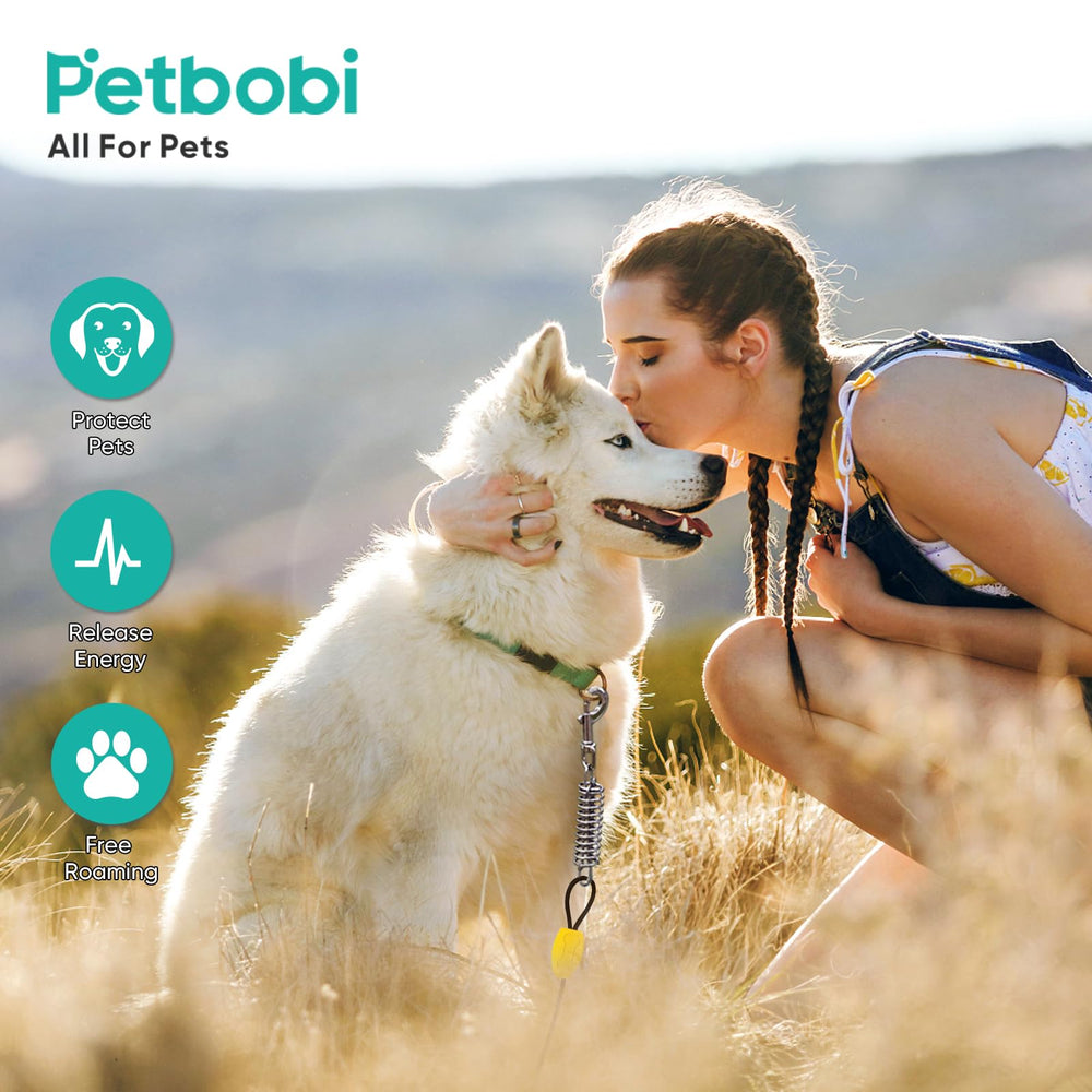 Petbobi démonstration d'échelle du produit montrant longueur et taille pratiques