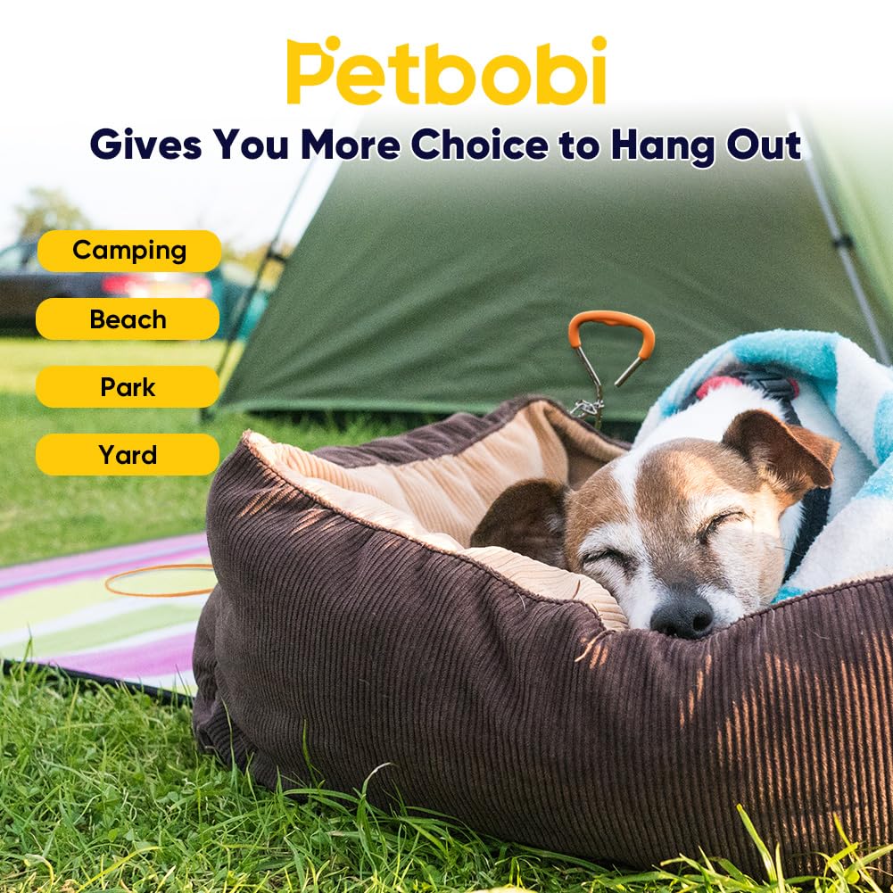 Comparaison taille Petbobi avec un chien moyen montrant l’espace de 10 ft