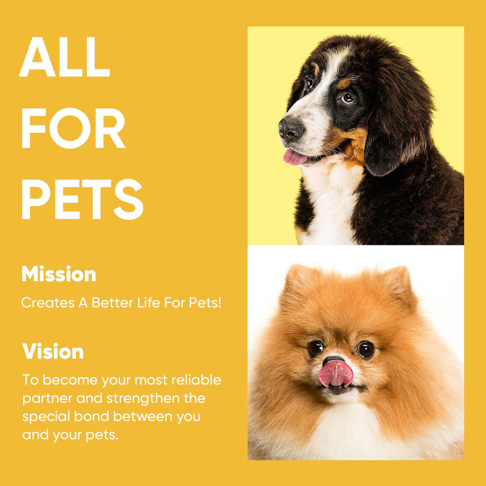 Petbobi comparaison de taille montrant longueur 20ft adaptée grands chiens