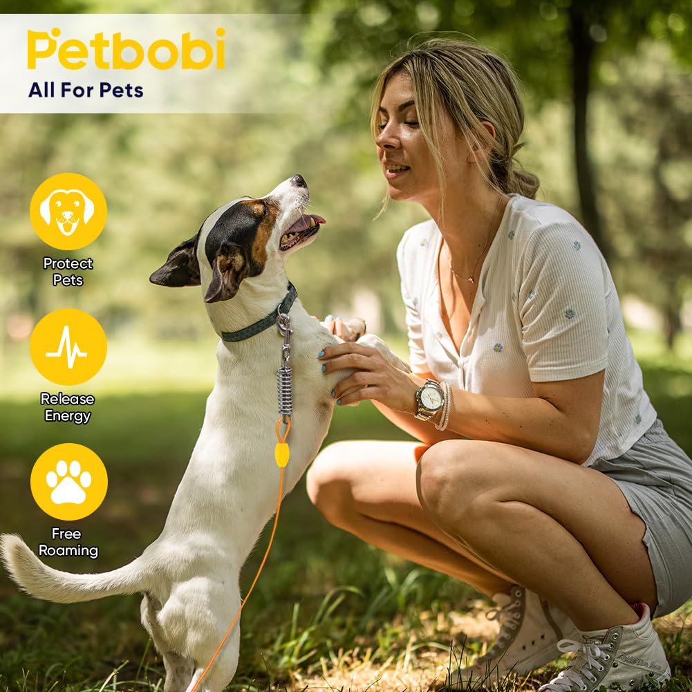 Scène de jardin avec chien attaché au kit Petbobi, surveillance détendue et sécurité