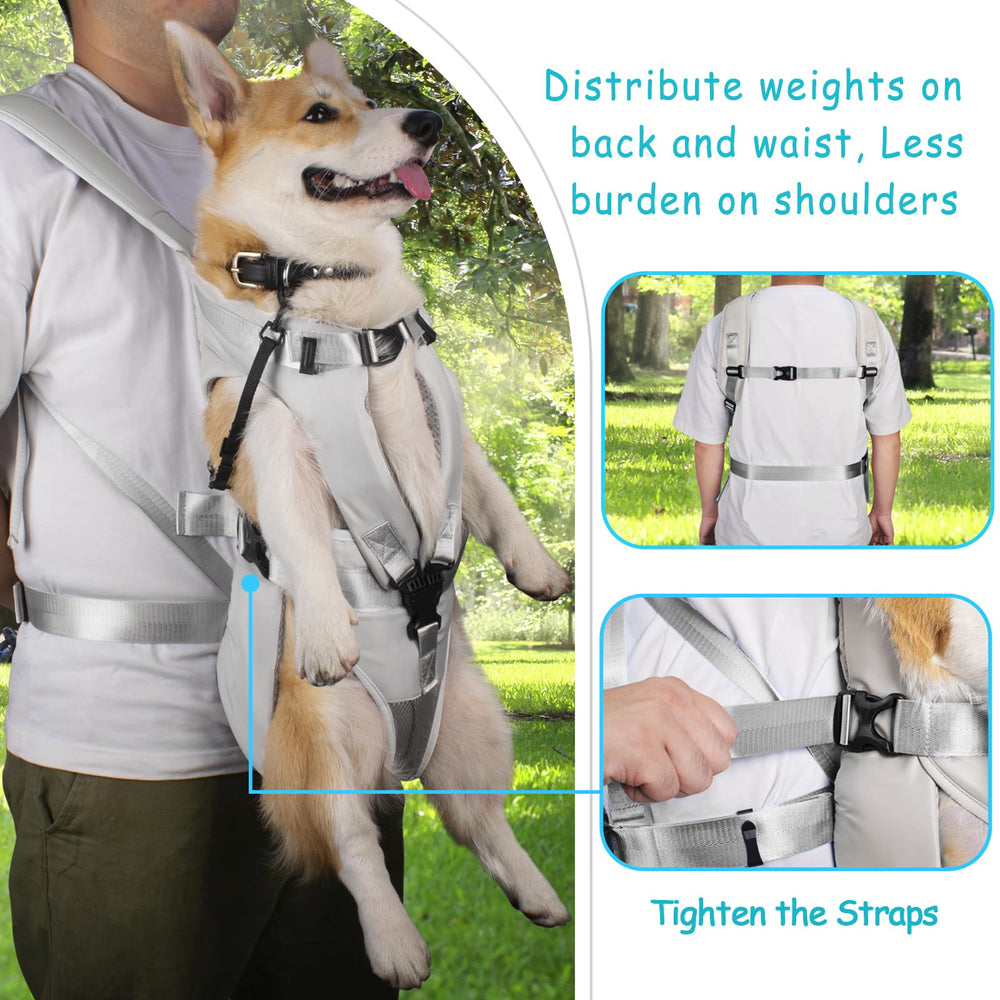 PetBonus chiot dans le sac en position jambes dehors pour liberté de mouvement