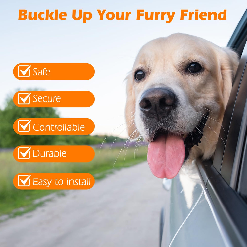 PetBonus chien attaché à l'arrière profitant du confort et liberté