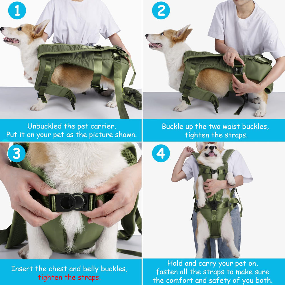 PetBonus chiot installé en porte-bébé illustrant liberté de mouvement