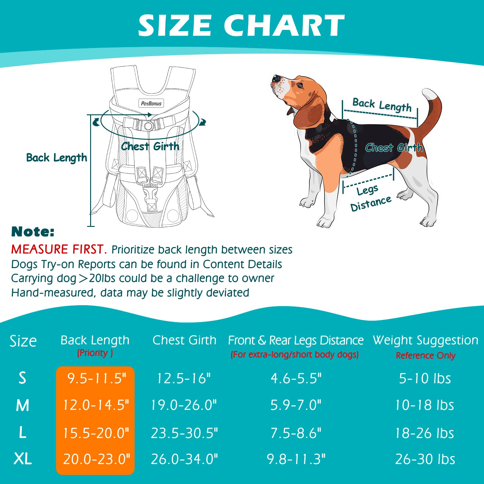 PetBonus comparaison taille avec petit chien pour choisir la bonne taille