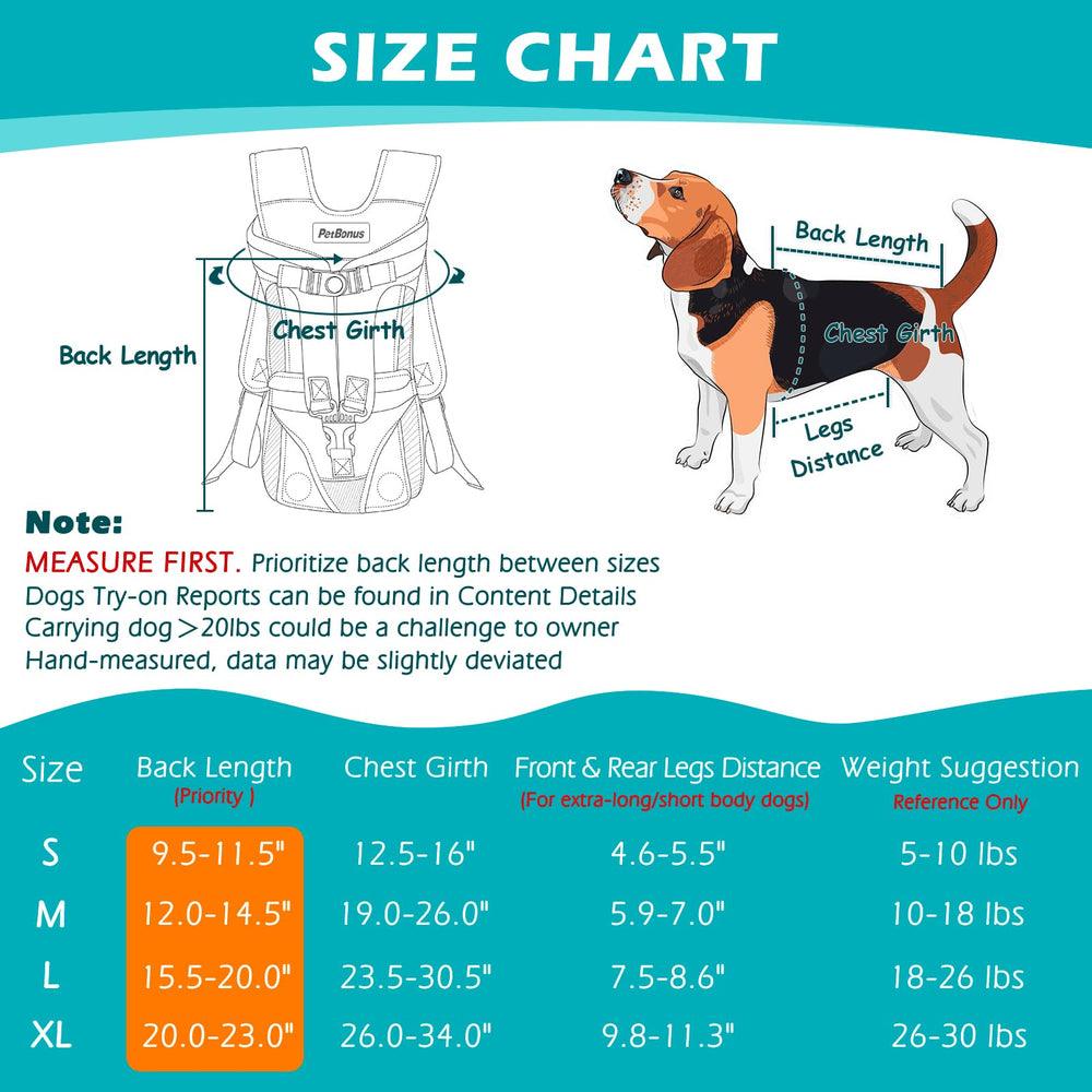 PetBonus comparaison taille avec petit chien pour choisir la bonne taille