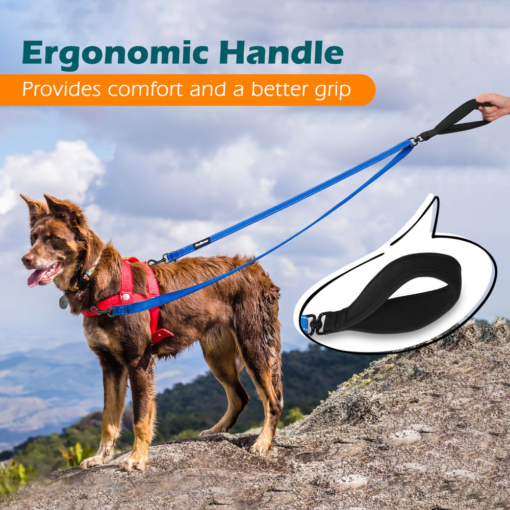 PetBonus laisse convertie en mode simple 4FT pour promenades classiques