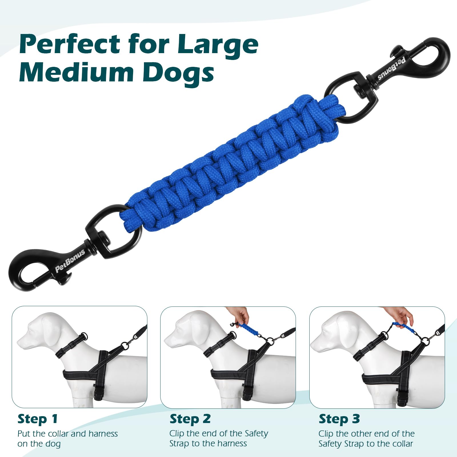 PetBonus assortiment de couleurs du clip, choix esthétique et pratique
