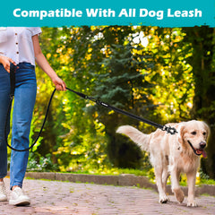 PetBonus rallonge connectée à une laisse en promenade montrant flexibilité