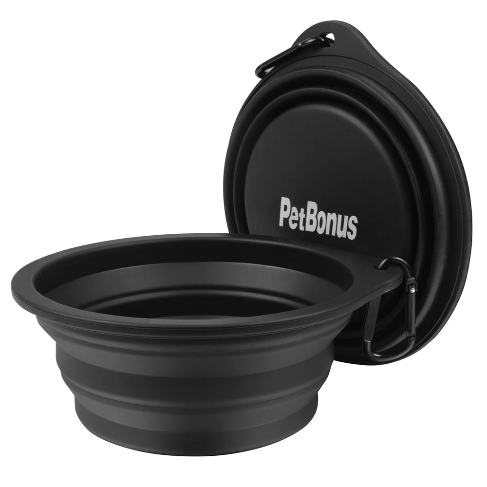 Scène lifestyle PetBonus au parc offrant eau propre en sortie