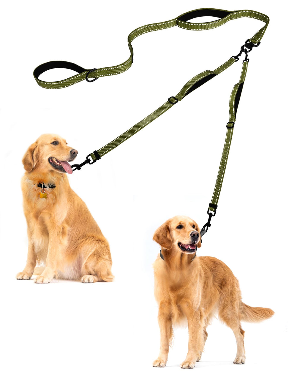 PetBonus laisse double vue frontale montrant la robustesse et le contrôle