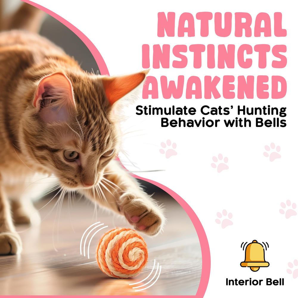 PetBox Cutie's chat jouant en intérieur stimule l'exercice et le lien interactif
