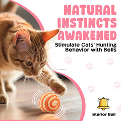 PetBox Cutie's chat jouant en intérieur stimule l'exercice et le lien interactif
