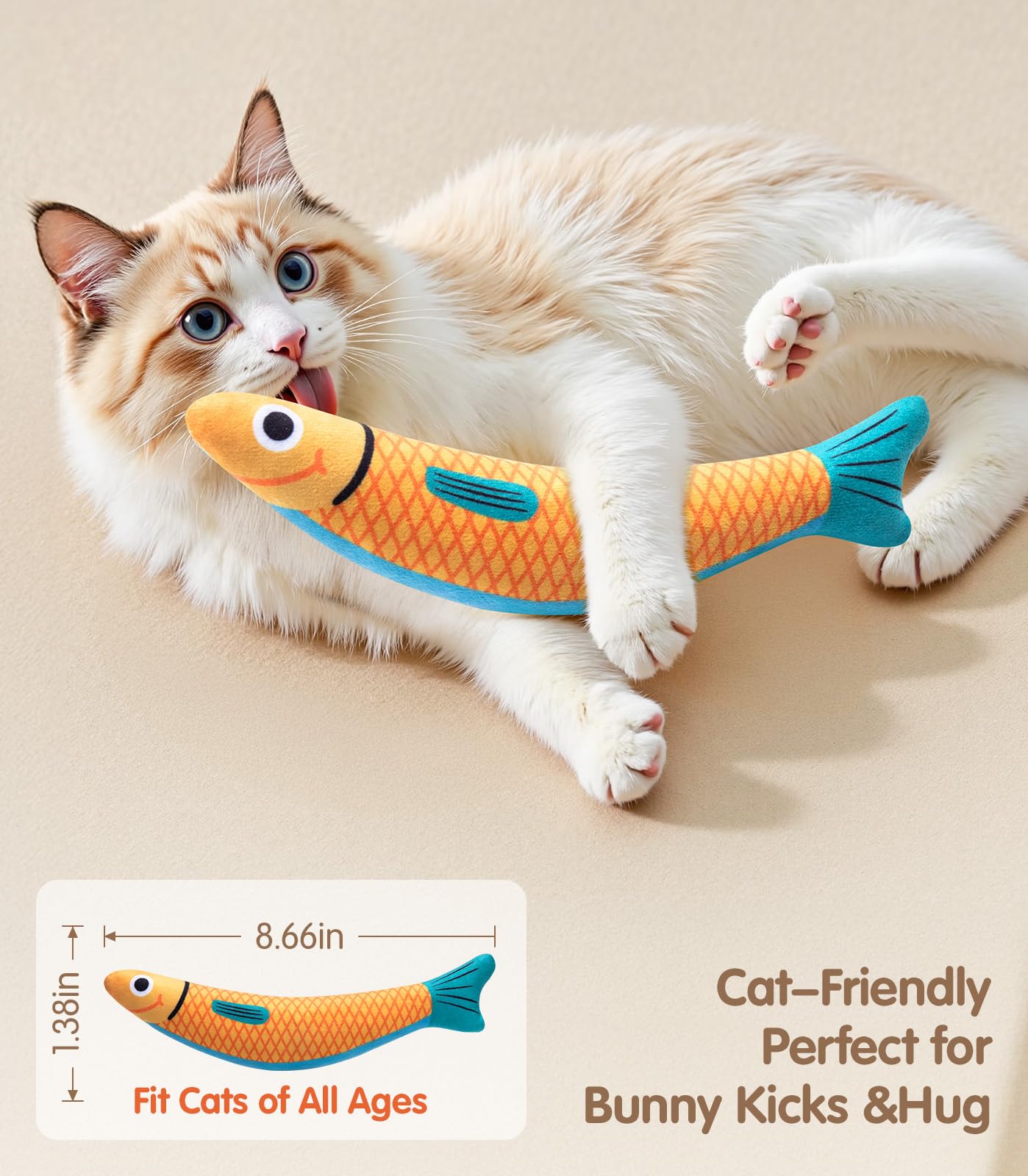 PetBusy comparaison taille poisson pour chatons et adultes