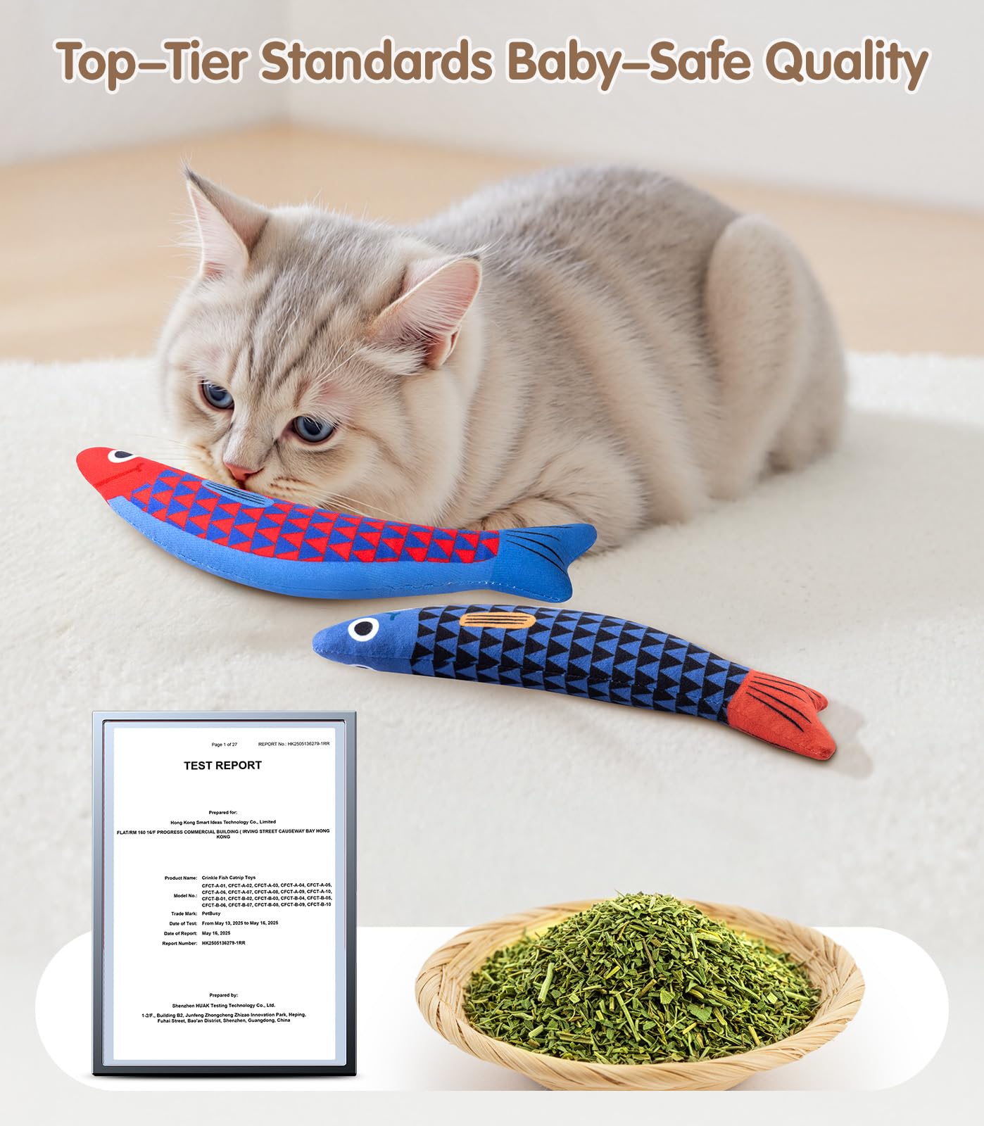 PetBusy jouet sur canapé favorise liens et moments câlins
