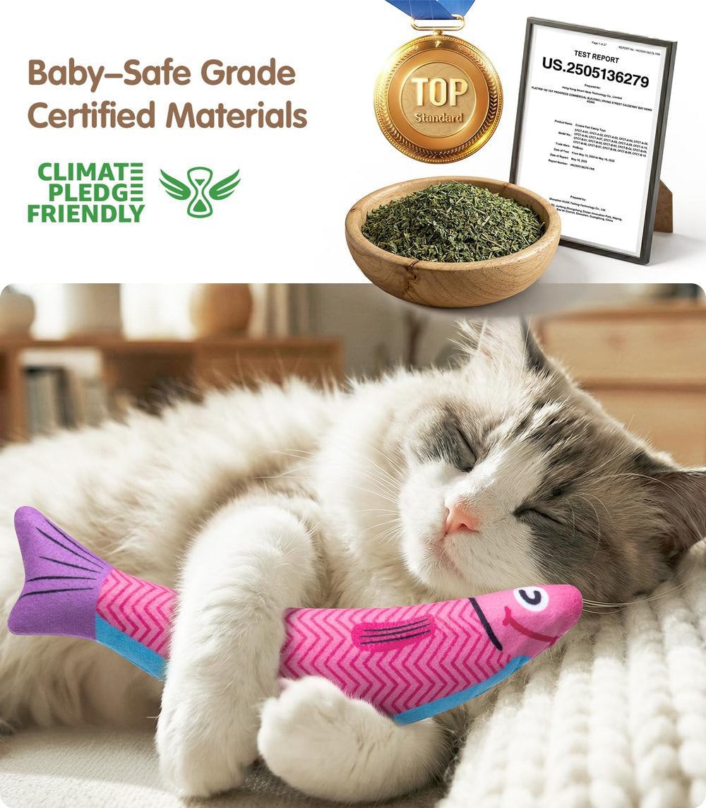PetBusy mise en scène salon montrant intégration au quotidien et détente