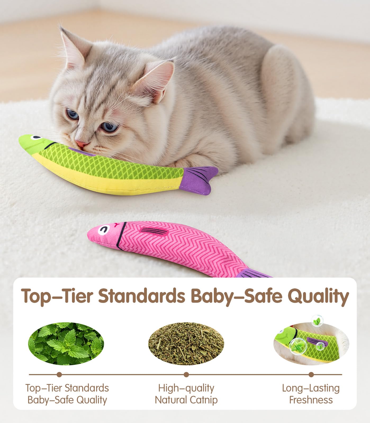 PetBusy mise en scène salon montrant intégration décorative et usage quotidien