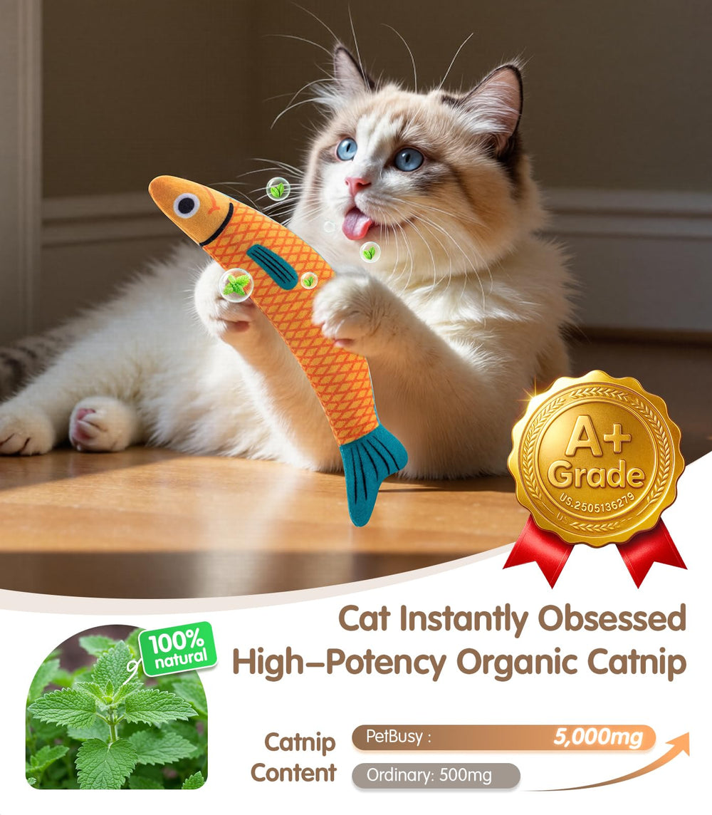 PetBusy gros plan tissu résistant et couture double, sécurité renforcée