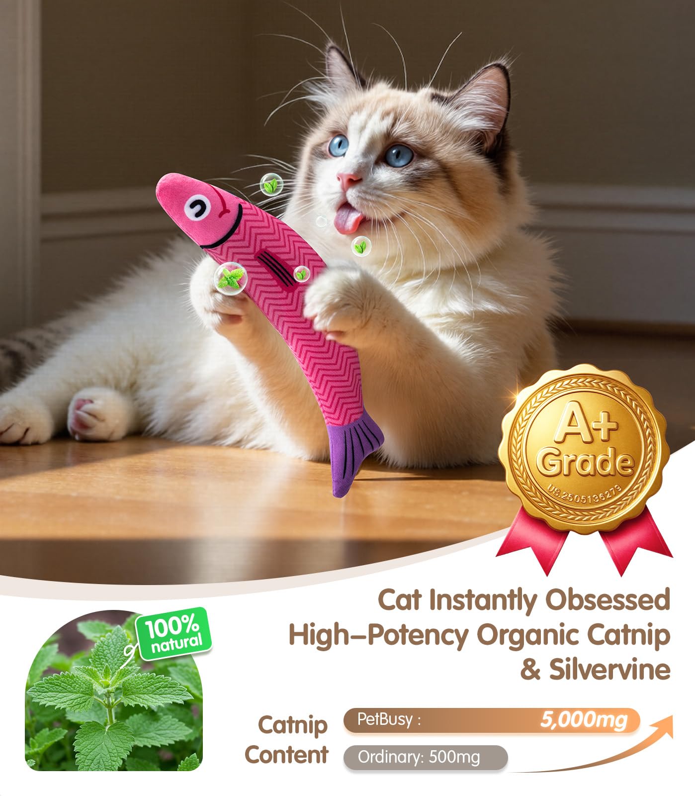 PetBusy détail du rembourrage moelleux offrant douceur pour câlins