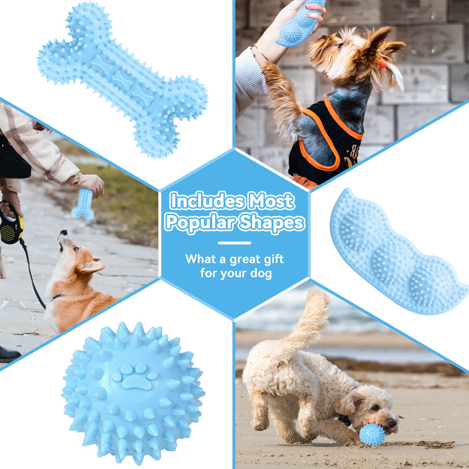 Petcare jouet corde en usage pour interaction et renforcement du lien