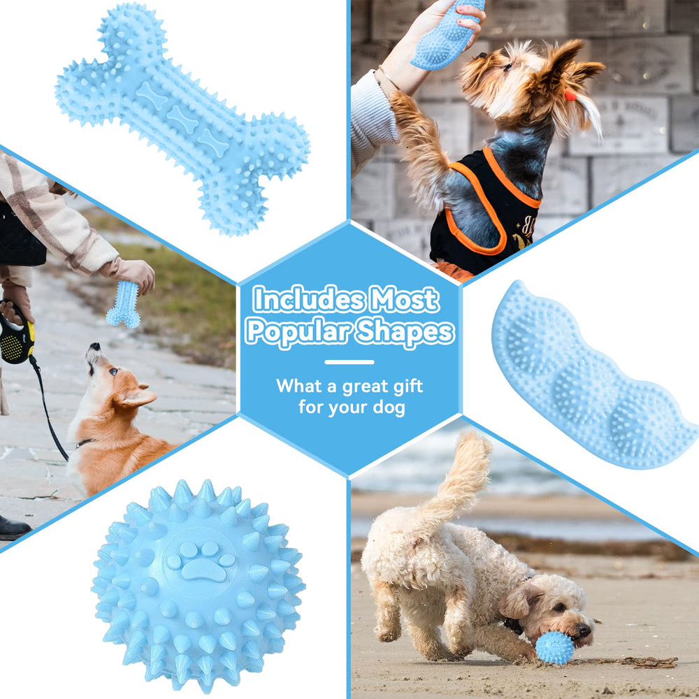 Petcare jouet corde en usage pour interaction et renforcement du lien