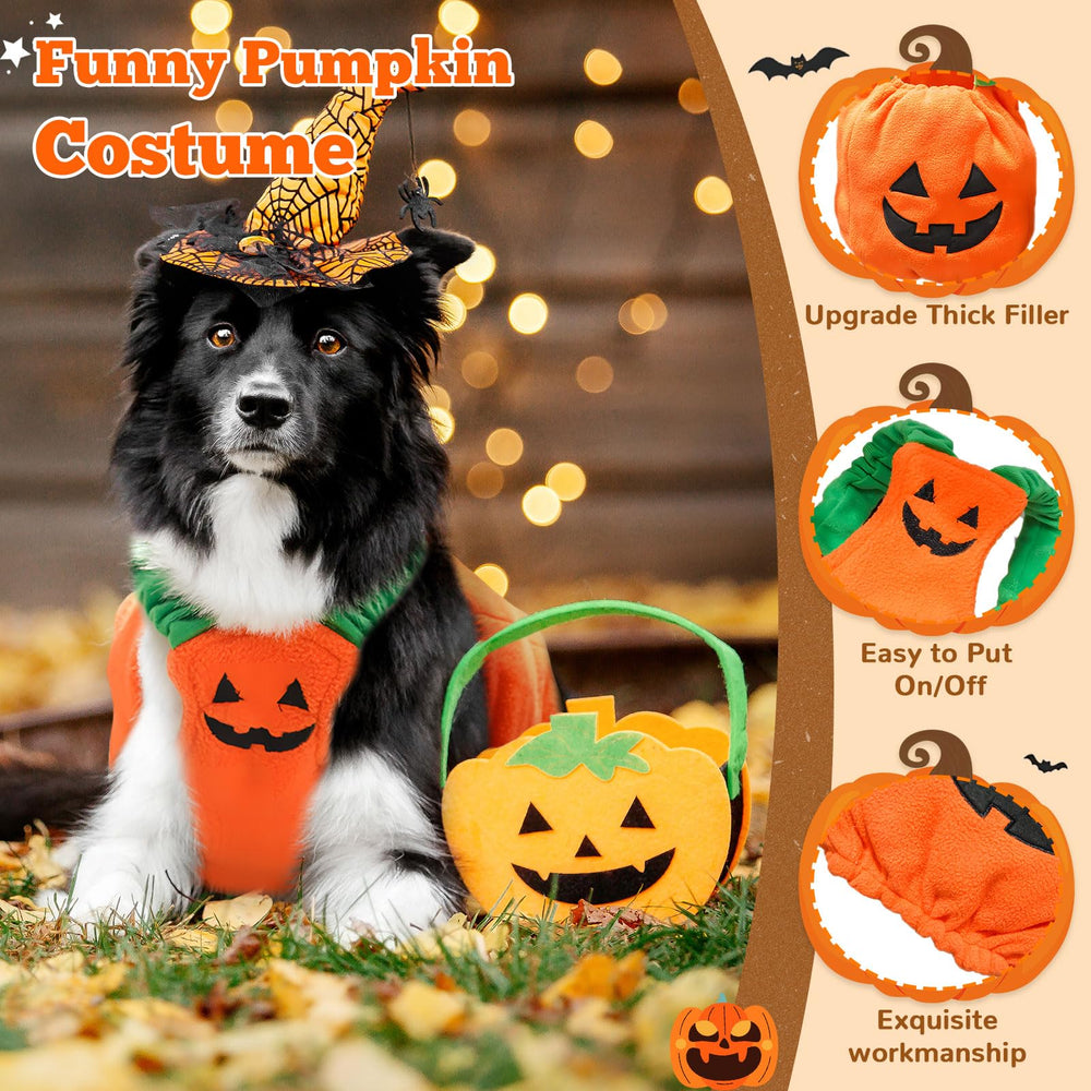Petcare ambiance Halloween costume citrouille en scène festive