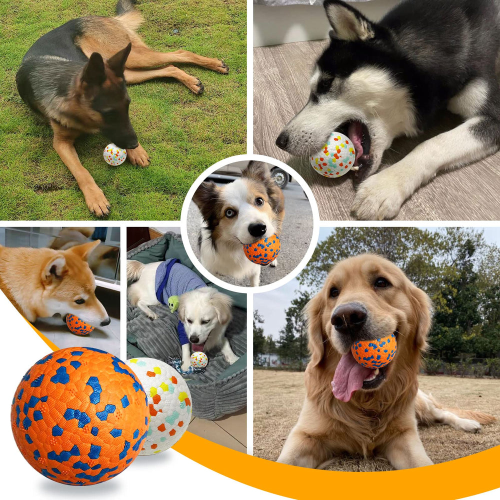 Petcare balle en plein jeu au parc illustrant durabilité et plaisir de rapport
