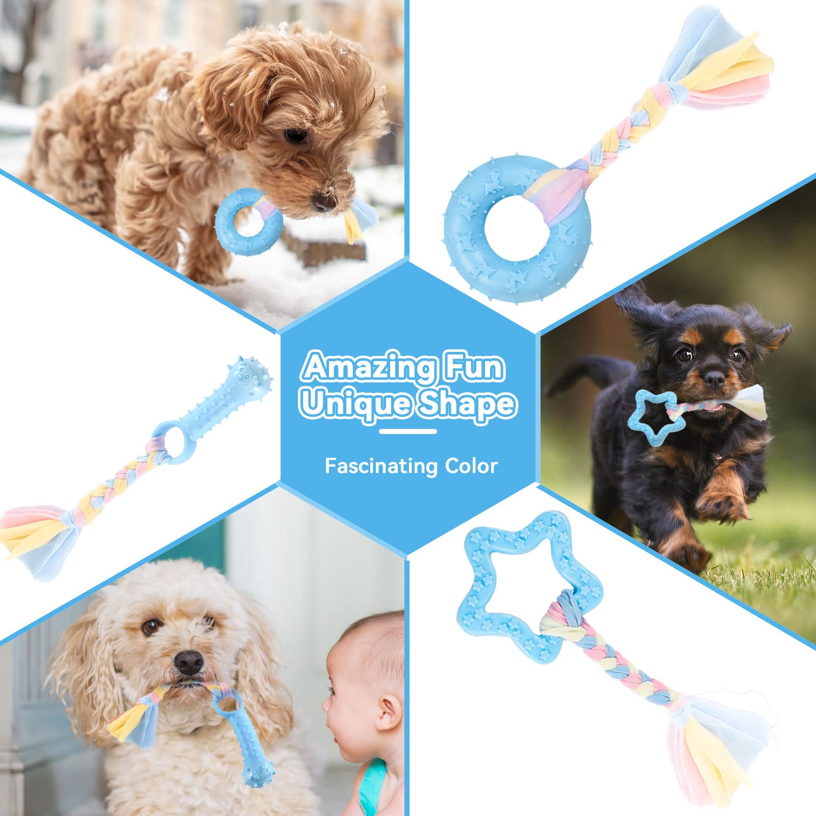 Petcare ensemble disposé sur fond blanc pour rangement et polyvalence