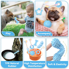Petcare os et balle comparés pour petite taille et prise adaptées