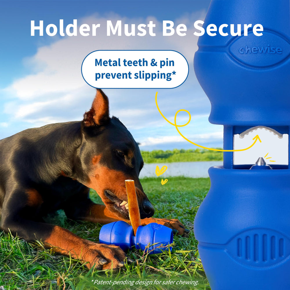 PetClan Chewise gros plan dents acier inoxydable offrant une meilleure tenue