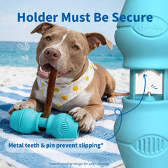 PetClan Chewise gros plan dents acier inoxydable offrant prise durable