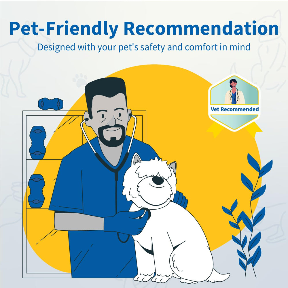 Scène domestique avec PetClan Chewise pour un moment de jeu supervisé