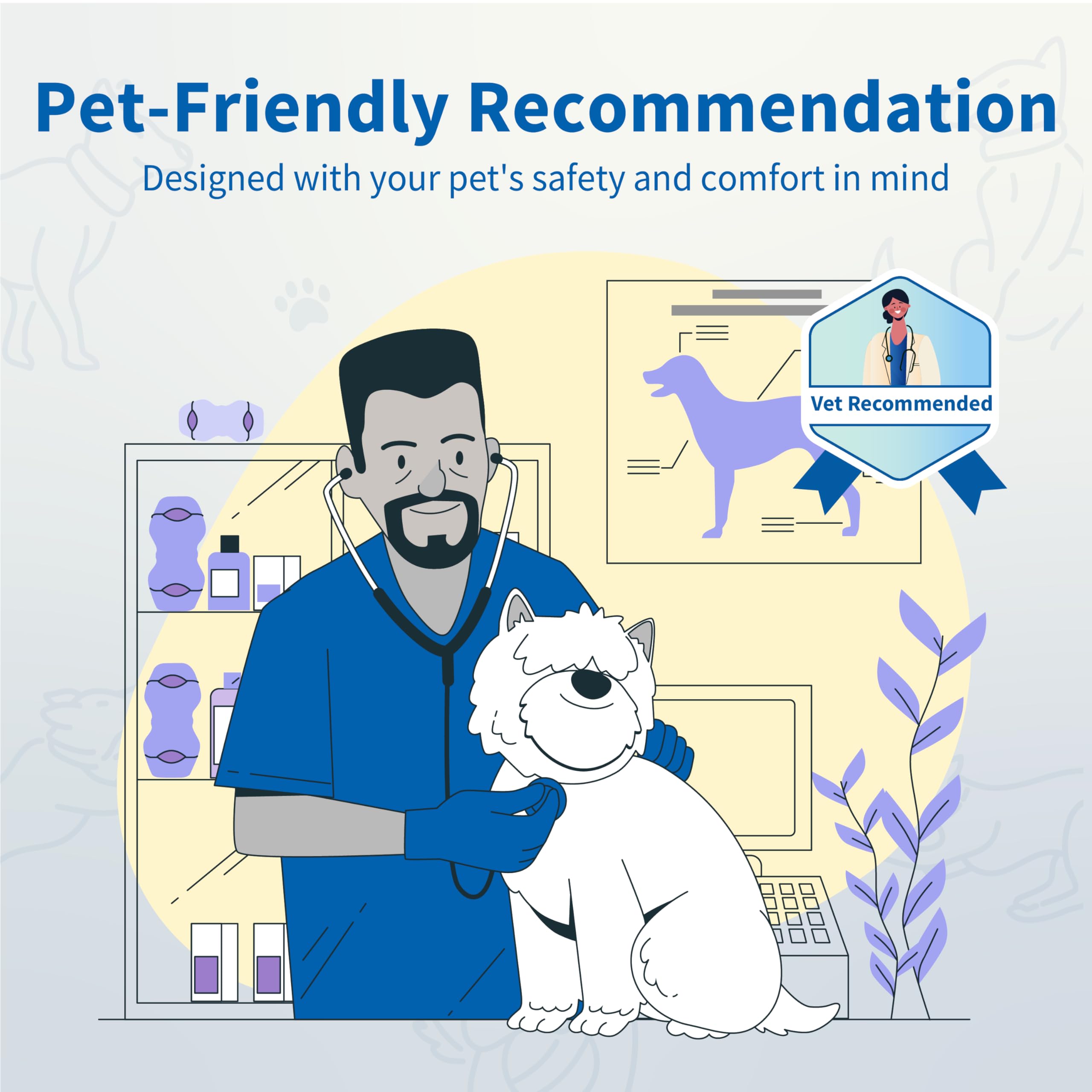 PetClan Chewise scène de vie chien jouant et mastiquant en sécurité