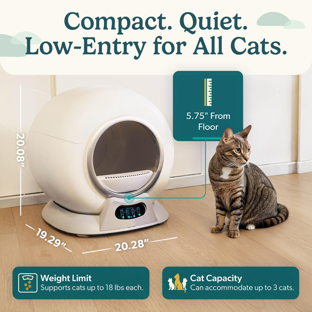 PetCove PurrTek application mobile affichant programmations et alertes