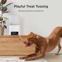 Petcube Bites 2 Lite montrée couvrant une pièce grâce à l'angle large utile