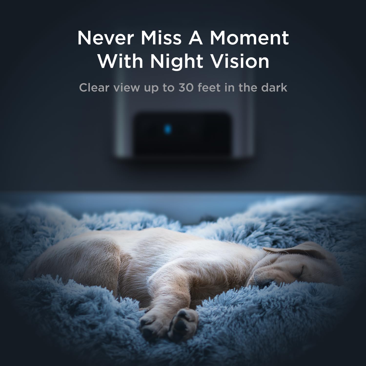 Petcube Bites 2 Lite affichée sur application mobile pour contrôle et lancements