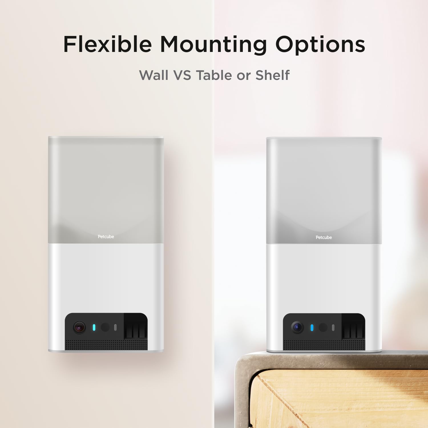 Petcube Bites 2 Lite comparée à une main pour visualiser l'échelle compacte