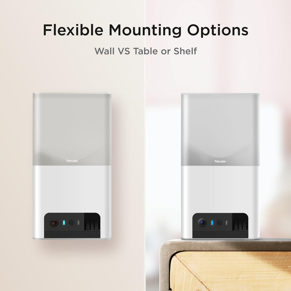 Petcube Bites 2 Lite comparée à une main pour visualiser l'échelle compacte