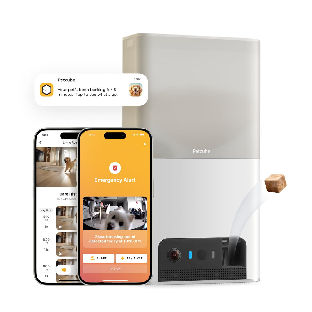 Petcube Bites 2 Lite face avant montrant design compact et surveillance facile