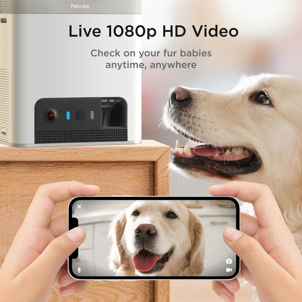 Petcube Bites 2 Lite gros plan sur l'ouverture du distributeur pour un service hygiénique