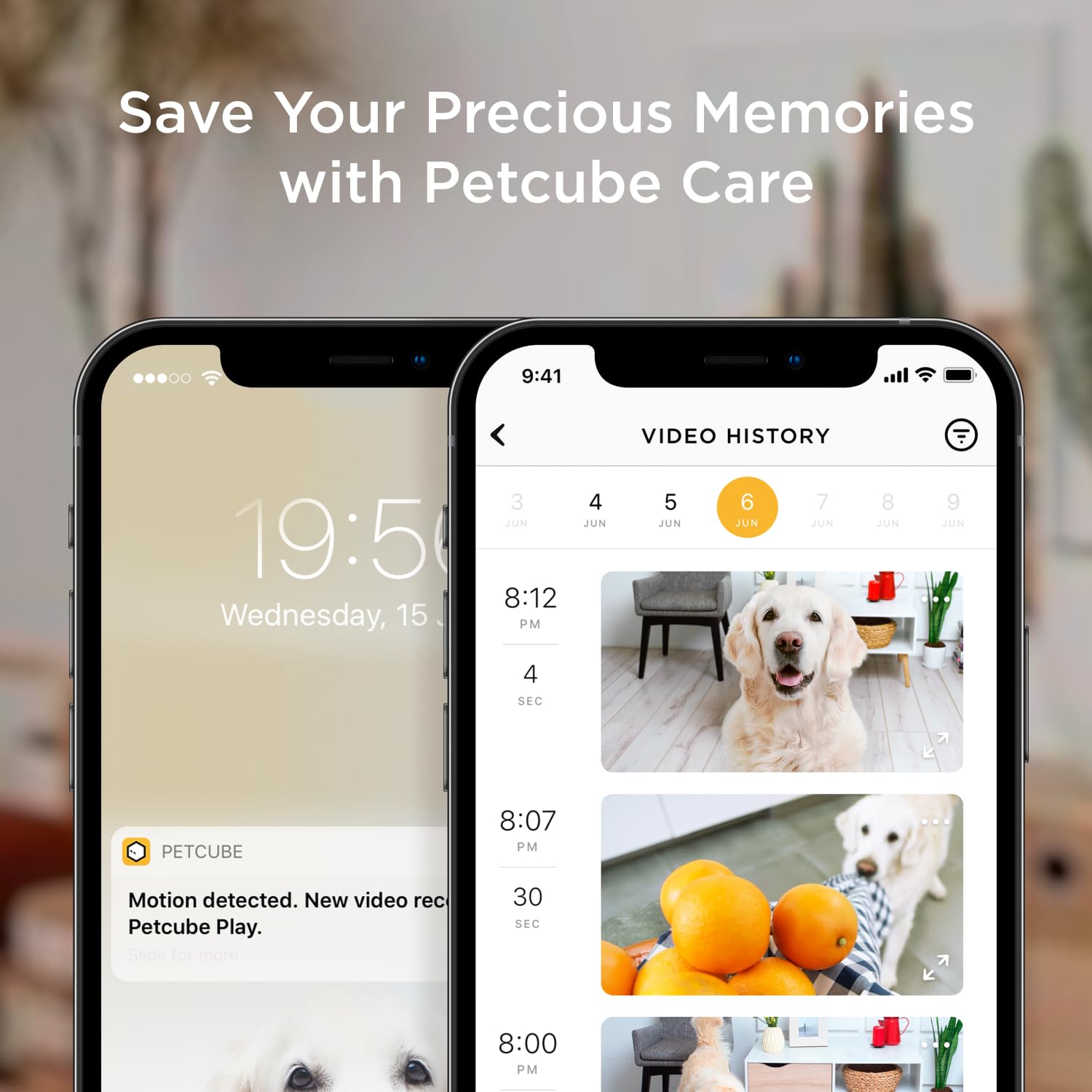 Petcube Bites 2 Lite installée dans un salon montrant usage quotidien familial