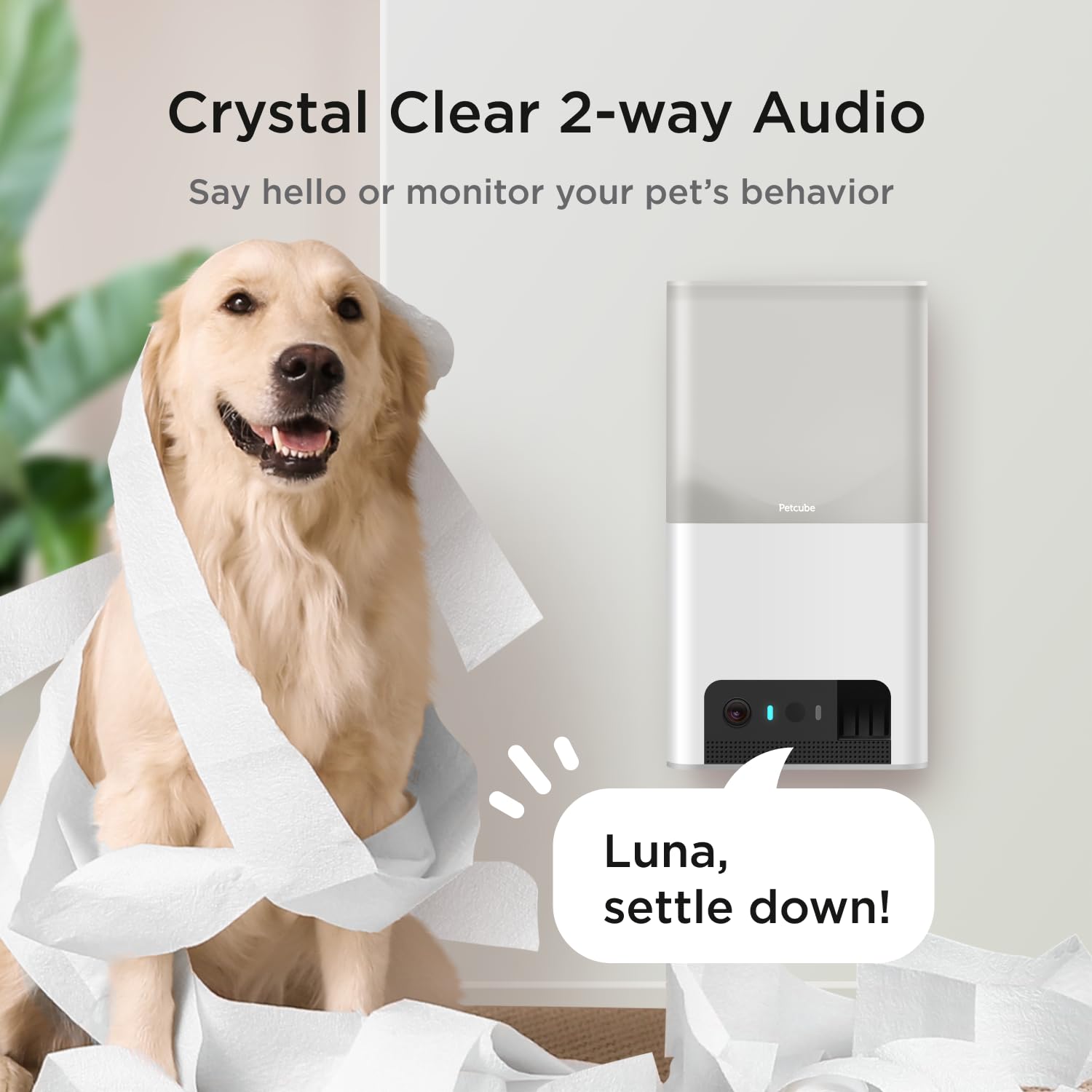 Petcube Bites 2 Lite image nuit démontrant vision nocturne rassurante