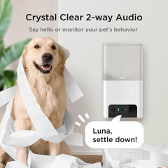 Petcube Bites 2 Lite image nuit démontrant vision nocturne rassurante