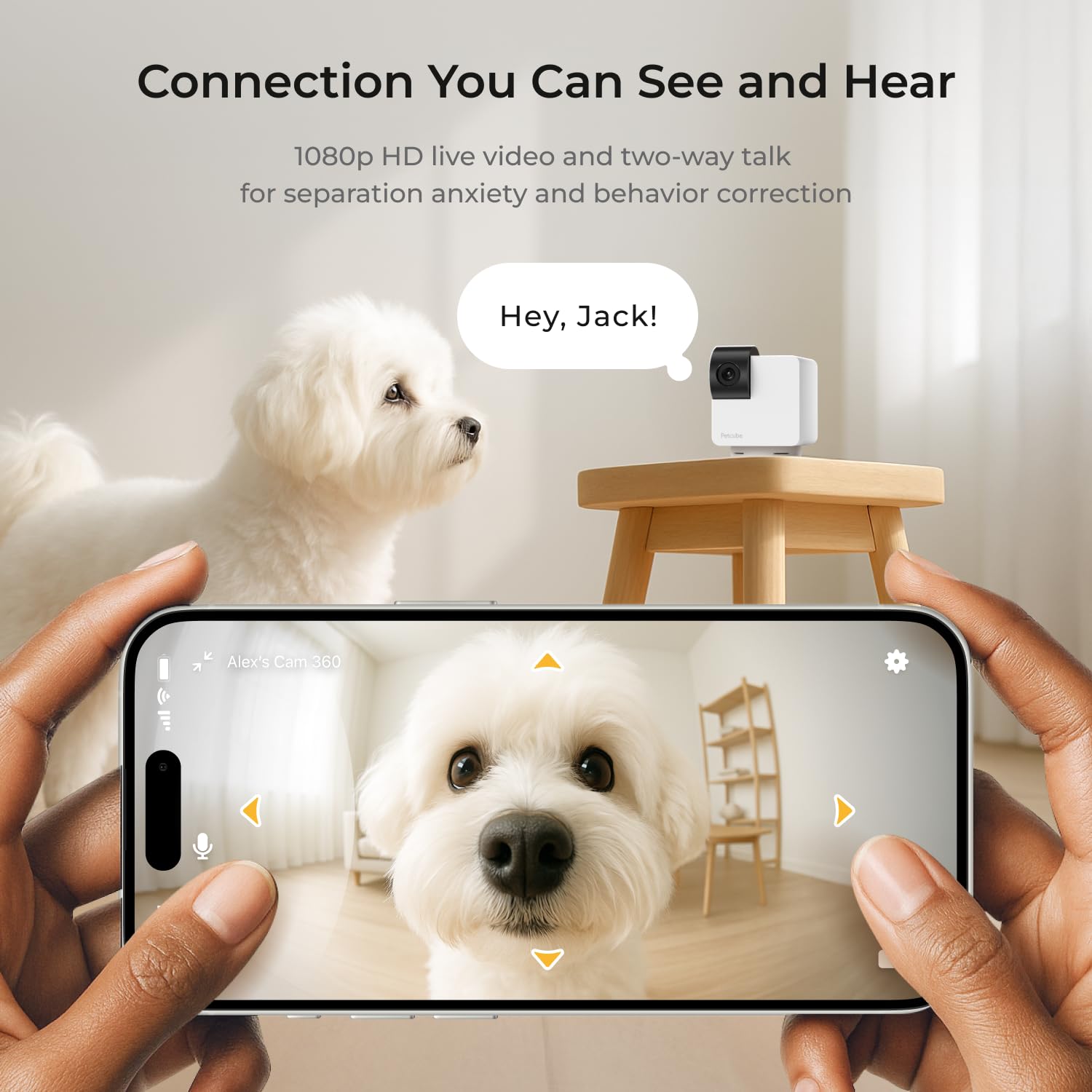 Petcube Cam 360 affichée dans l'application Petcube montrant alertes et historique vidéo