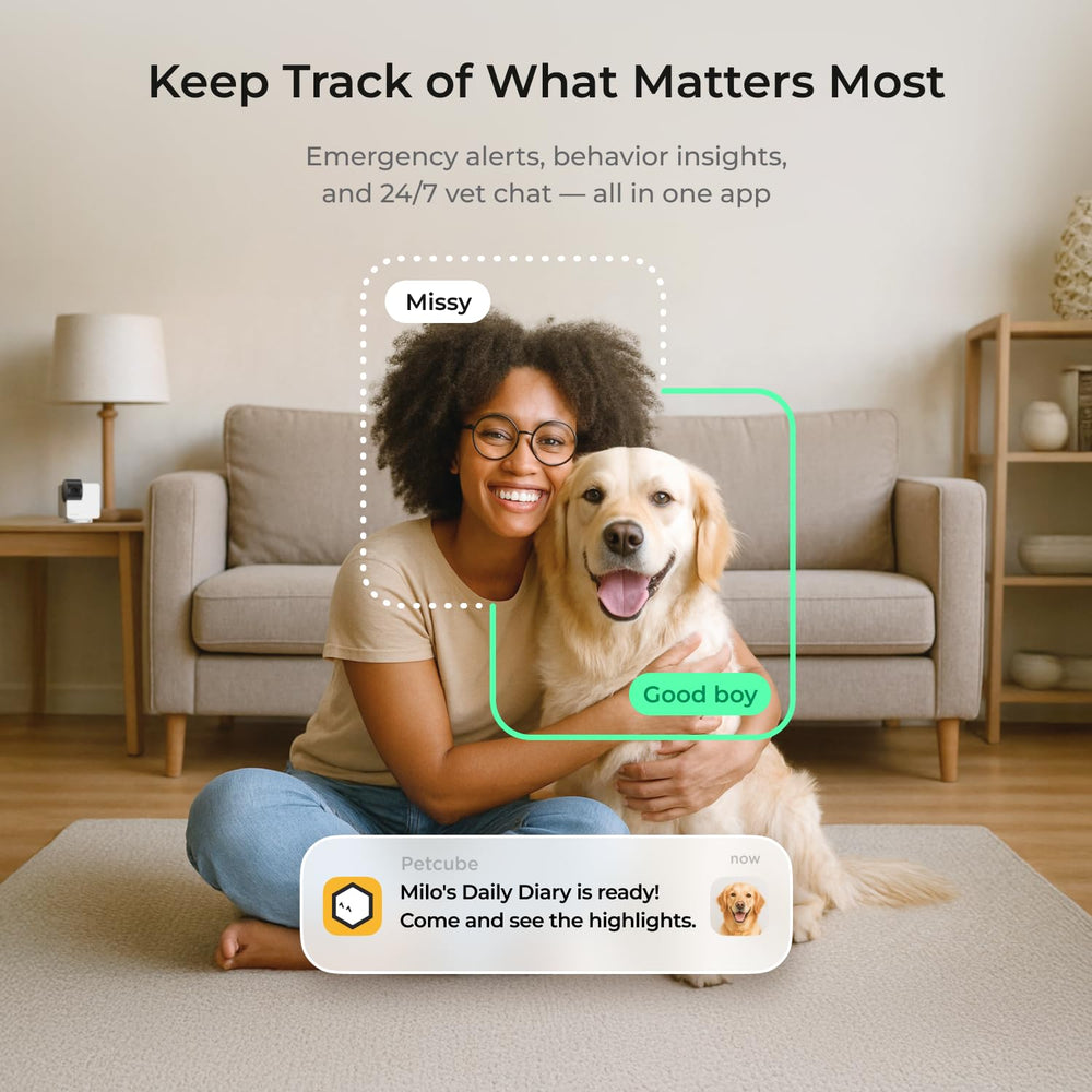Petcube Cam 360 utilisée dans un salon montrant interaction vocale avec l'animal